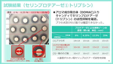 セリンプロテアーゼの抑制結果