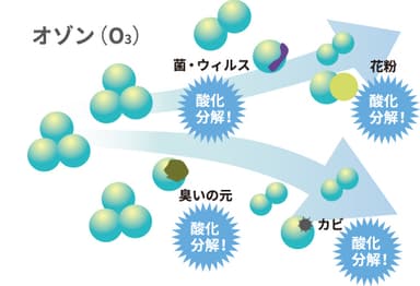 オゾン除菌とは