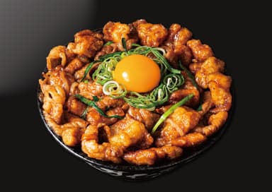 ギャラクシーすたみなホルモン丼　1&#44;380円(税込)