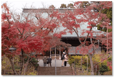 本土寺