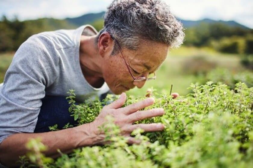 大地にやさしい農家を応援するSHARE THE LOVE for JAPAN　
「先駆者の言葉」にハーブ栽培の第一人者　
石井 智子さん(神奈川県相模原市)が登場