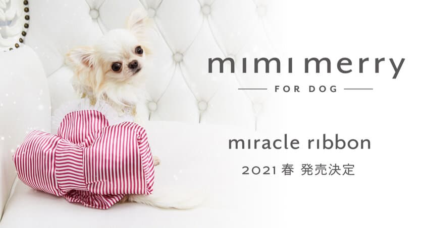 特許申請中の日本製　犬用ラグジュアリードレス
「mimimerry(ミミーメリー)」新作ドレスのモデル犬を大募集！！