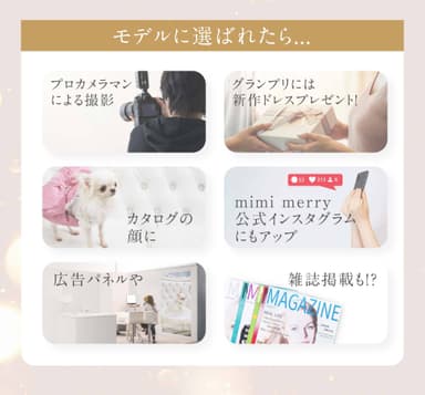 あなたの愛犬がモデル犬に！？