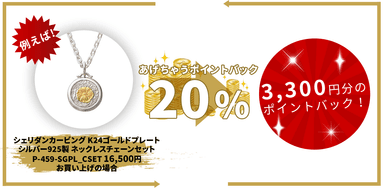 SAAD「あげちゃう！！キャンペーン」対象商品の例（1）