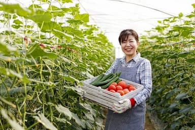 ちばは野菜の王国。