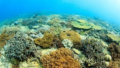 那覇空港から、約30分で宜野湾美ら海の水中世界へGO！