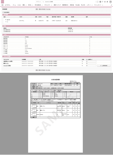 「経歴確認と技術経歴書作成」画面キャプチャ