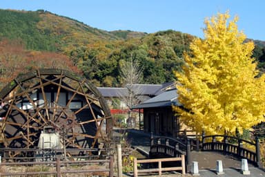 【土浦市】小町の館