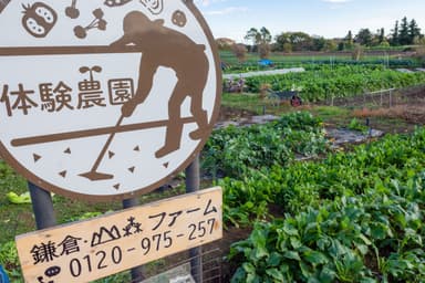 体験農園鎌倉・山森ファーム