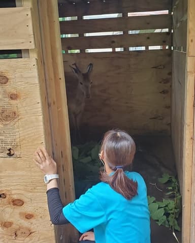 ケープ飼育担当スタッフ