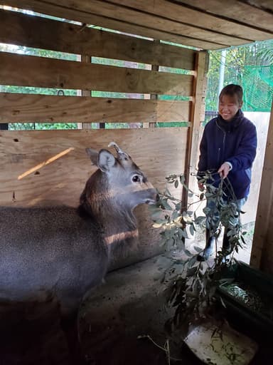 ケープと飼育スタッフ