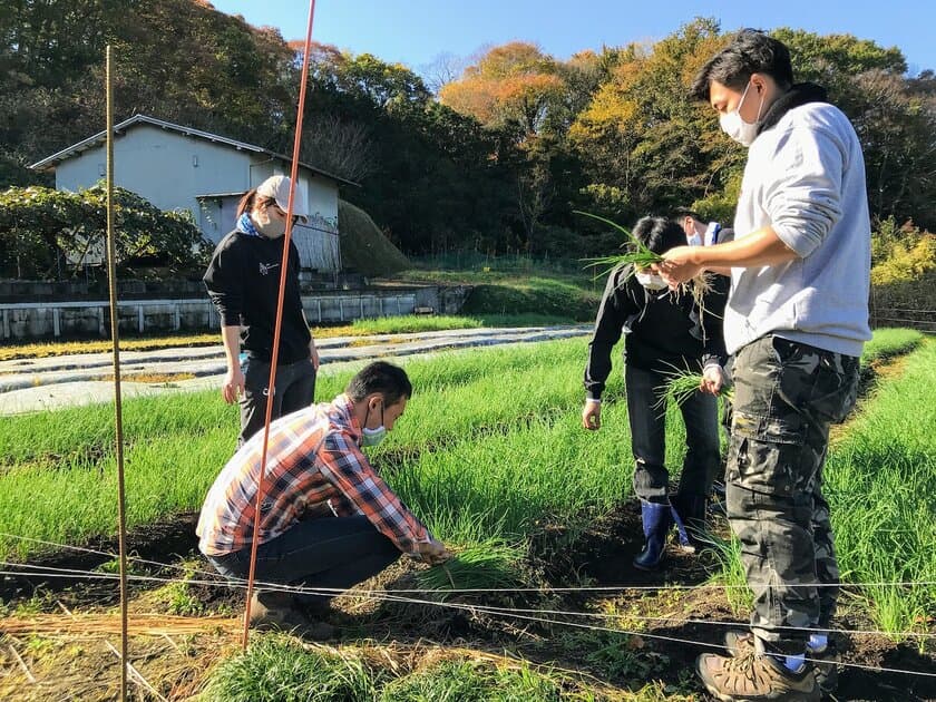 東急住宅リース、オンラインと対面のバランスをとり
ニューノーマルな新卒採用活動を進行中！