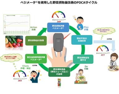 野菜摂取改善PDCAサイクル