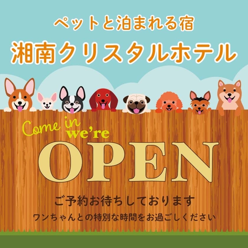 愛犬と過ごす特別な1日。湘南にペットと
泊まれる宿“ワンワンホテル”がリニューアルOPEN！