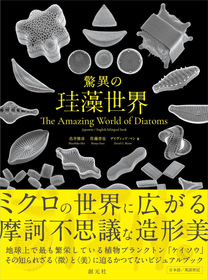 アート作品？　いえ、小さな生き物ですーー
シリーズ累計30万部の『世界で一番美しい元素図鑑』など
大人が楽しむマニアック図鑑で話題の創元社が
新刊『驚異の珪藻世界』を発売