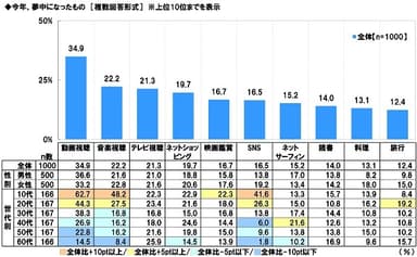 今年、夢中になったもの