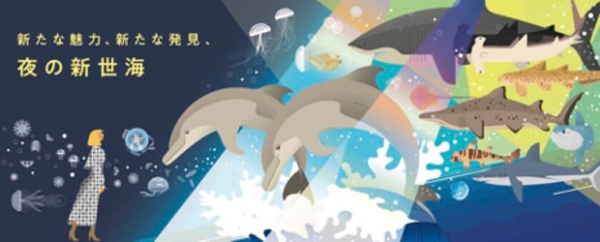 この冬、アクアワールド茨城県大洗水族館が
開館以来初のリニューアル！
アクアワールド茨城県大洗水族館 
夜間限定イベント　「NIGHT AQUAWORLD」開催！　
2020年12月19日(土)～30日(水)　
2021年1月2日(土)・3日(日)・9日(土)・10日(日)