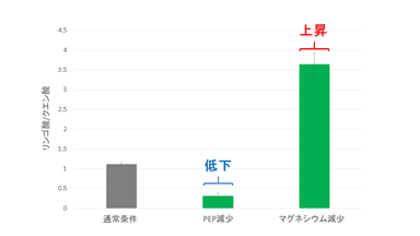 図3. PEPとマグネシウム濃度を下げた時のリンゴ酸とクエン酸の生成比