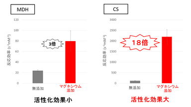 図4. 10 mMマグネシウム存在下のMDHとCSのオキサロ酢酸に対する反応効率