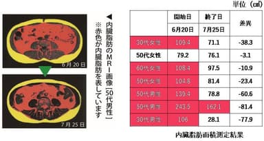 内臓脂肪減少効果