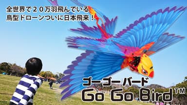 Go Go Birdのクラウドファンディング