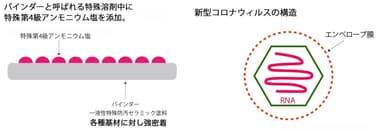 抗ウイルスのメカニズム(1)