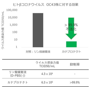 図2：ヒトβコロナウイルスOC43に対するカテプロテクトの効果