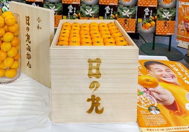 東京大田市場の初競りで、100万円で落札された八幡浜産みかん