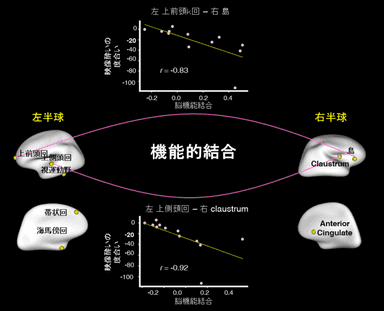 機能的結合