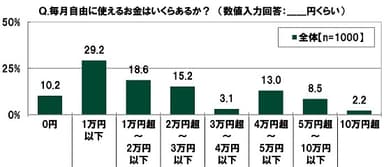 毎月自由に使えるお金はいくらあるか