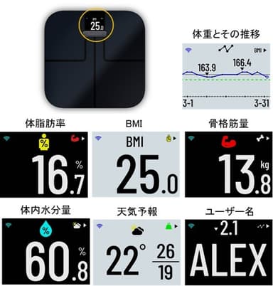 体重計で表示される項目