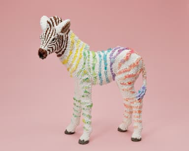 出品作品「Rainbow zebra」