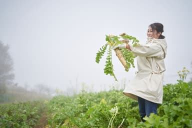 「岡山県美作市で出会う、暮らしの体験」を開始