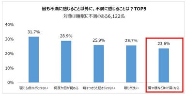 最も不満に感じること以外に、不満に感じることは？TOP5