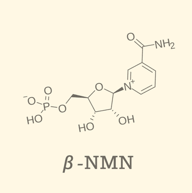 NMN(Japanese)