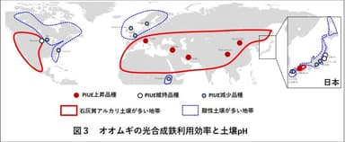 図3　オオムギの光合成鉄利用効率と土壌pH