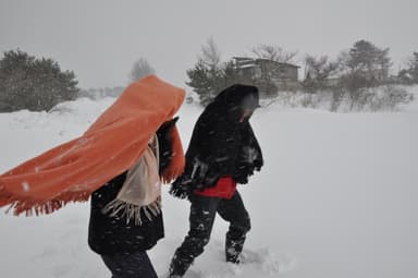 雪国地吹雪体験ツアー