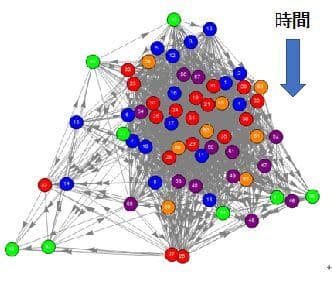 図１　同期ネットワークの例