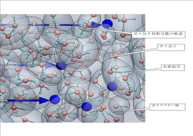 モルトロンオゾン分子水モデル図