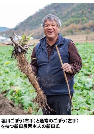 堀川ごぼう生産農家：新田氏