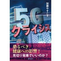 アフター勉強会　加藤やすこ