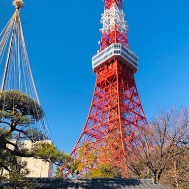 東京タワーTV