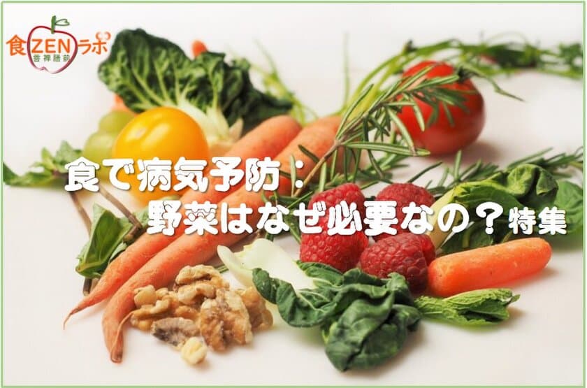 「食で病気予防：野菜はなぜ必要なの？特集」配信開始　
癒しレシピと食の知識を同時に得られる情報サイト「食ZENラボ」