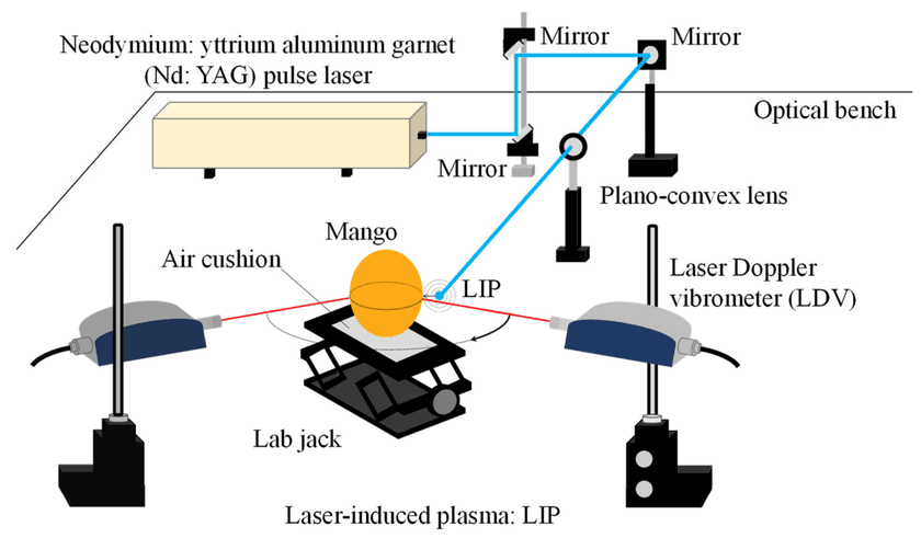 触れずに柔らかい果物の収穫時期がわかる方法を開発　
プラズマ衝撃波を用いて果物表面を振動させマンゴーの硬さを測定