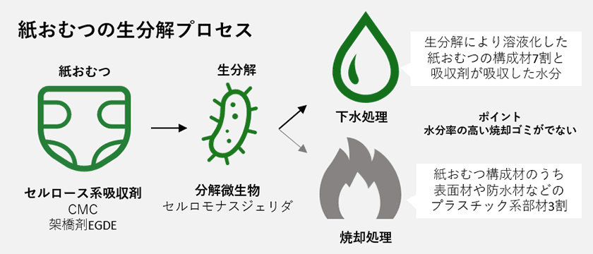 紙おむつのカーボンニュートラルな廃棄プロセスを開発　
吸収剤を天然素材に置換、分解微生物による生分解を実現