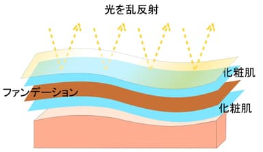 肌イメージ図2