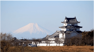 関宿城と富士山