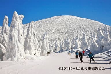 蔵王の樹氷