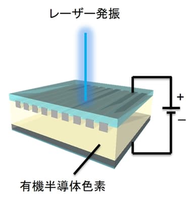 有機半導体レーザー図