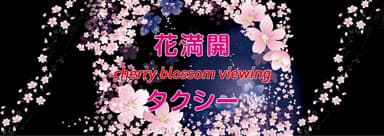 神奈中タクシーが新たな観光タクシープランを開始 花満開「cherry blossom viewing」タクシー